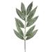 Vickerman 461204 - 20" Muddy White Willow Spray (Bg/6) (FK172402) Home Office Picks and Sprays