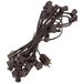 Vickerman 360583 - 25 Light 25' Brown Wire Empty C9 Christmas Light String Set with 12" Spacing (V472220BRN)