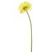 Vickerman 463970 - 21" Gerbera Daisy -Yellow (PK/6) (FH170703) Home Office Flowers