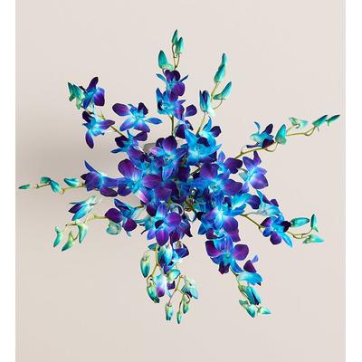 1-800-Flowers Flower Delivery Ocean Breeze Orchids 10 Stems Bouquet Only | Happiness Delivered To Their Door