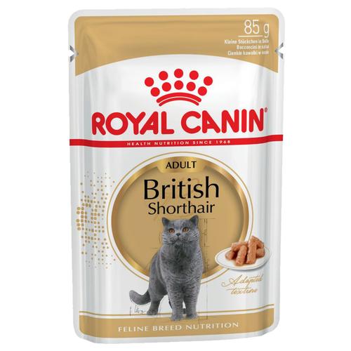 12 x 85 g Royal Canin Breed British Shorthair Katzenfutter Nass