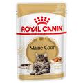24x85g Maine Coon Royal Canin Katzenfutter nass
