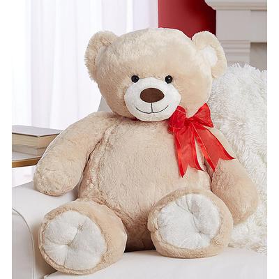 1-800-Flowers Everyday Gift Delivery Lotsa Love Big Bear For Romance
