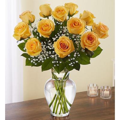 1-800-Flowers Flower Delivery Rose Elegance Premium Long Yellow12 Roses | Happiness Delivered To Their Door