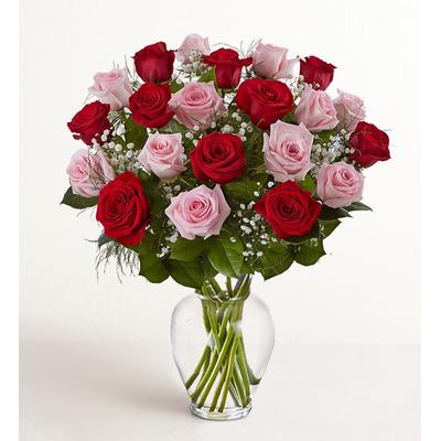 1-800-Flowers Flower Delivery Ultimate Elegance Long Pink And Red Roses