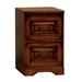 Darby Home Co Boruta 2 Drawer Vertical File Cabinet Wood in Brown/Red | 30 H x 18.5 W x 22 D in | Wayfair DRBC2243 31019856