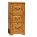 Lark Manor™ Sceinnker 3-Drawer Vertical Filing Cabinet Wood in Brown/Red | 41 H x 18.5 W x 22 D in | Wayfair DRBC2253 31019882