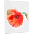 Design Art 'Large Red Poppy on White Back' Painting Print on Metal in Red/White | 28 H x 12 W x 1 D in | Wayfair MT13885-12-28