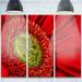 Design Art ' Daisy Gerbera Flower Close-Up' 3 Piece Photographic Print on Metal Set Canvas in Red | 28 H x 36 W x 1 D in | Wayfair MT13823-3P