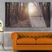 Design Art 'Forest Pathway View at Sunset' 4 Piece Photographic Print on Metal Set Canvas in Brown/Green | 28 H x 48 W x 1 D in | Wayfair