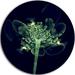 Design Art 'Green Fractal Flower in Air' Photographic Print on Metal in Black/Green | 23 H x 23 W x 1 D in | Wayfair MT8930-C23