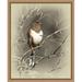 Ashton Wall Décor LLC 'Eastern Towhee, Female' Framed Photographic Print on Wrapped Canvas in Brown/Gray | 20.5 H x 16.5 W x 2 D in | Wayfair 4225