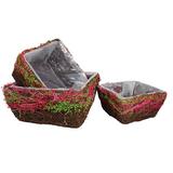 August Grove® 3 Piece Square Basket Set in Brown/Green/Red | 4.75 H x 9.75 W x 9.75 D in | Wayfair BNRS7420 40515281