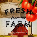 Buy Art For Less Main Line Art & Design "Fresh from the Farm" by Dallas Drotz Graphic Art on Wrapped Canvas in Green/Red | Wayfair DD1102CAN1212