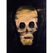 Buy Art For Less 'Fish Bones Skull' by Ed Capeau Painting Print on Wrapped Canvas in Black/Brown/Green | 24 H x 18 W x 1.5 D in | Wayfair