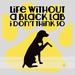 Buy Art For Less 'Life Without a Black Lab I Don't Think So' by Brandi Fitzgerald Graphic Art on Wrapped Canvas in Black/Yellow | Wayfair