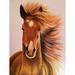 Buy Art For Less 'Seabiscuit Horse' by Ed Capeau Graphic Art on Wrapped Canvas in Brown | 24 H x 18 W x 1.5 D in | Wayfair CAN EDC136 18x24 GW