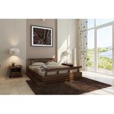 Wade Logan® Bouchier Solid Wood Platform Bed Wood in Brown | 28 H x 87 W x 93 D in | Wayfair BYST8835 43955159