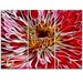 Design Art Dark Digital Art Fractal Flower - 3 Piece Graphic Art on Wrapped Canvas Set Canvas in Red | 28 H x 36 W x 1 D in | Wayfair PT11848-3P