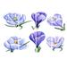 Design Art Hand Drawn Crocuses - Floral 4 Piece Graphic Art on Wrapped Canvas Set Canvas in Green | 28 H x 48 W x 1 D in | Wayfair PT7503-271