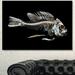 Design Art Fish Skeleton Bone on - Wrapped Canvas Graphic Art Print Metal in Black | 30 H x 40 W x 1 D in | Wayfair PT13163-40-30