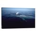 East Urban Home 'Blue Whale Spouting, Sea of Cortez, Mexico' Photographic Print, Wood in Black/Blue | 18.9 H x 30 W x 1.5 D in | Wayfair