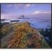 East Urban Home 'Iceplant Covering Coastal Rocks, Point Piedras Blancas, California' Framed Photographic Print in Gray/Indigo/Yellow | Wayfair