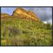 East Urban Home 'Organ Pipe Cactus Organ Pipe Cactus National Monument, Sonoran Desert | 18 H x 24 W x 1.5 D in | Wayfair EAAC7772 39223429