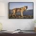 East Urban Home 'Gray Wolf Side View, North America ' Framed Photographic Print on Canvas in Blue/Brown | 12 H x 18 W x 1.5 D in | Wayfair