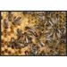 East Urban Home 'Honey Bee Colony on Honeycomb w/ Queen, Germany ' Framed Photographic Print on Canvas in Black/Yellow | Wayfair EAUB4879 38517743