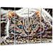 Design Art Metal 'Cat Nap' 4 Piece Graphic Art Set Metal in Gray | 28 H x 48 W x 1 D in | Wayfair MT2443-271