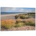 East Urban Home Sandy Shores by Assaf Frank - Gallery-Wrapped Canvas Giclée Print Metal in Brown/Green | 40 H x 60 W x 1.5 D in | Wayfair