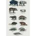 Buyenlarge Animals - Unframed Graphic Art Print in White | 36 H x 24 W x 1.5 D in | Wayfair 0-587-64274-LC2436