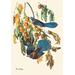 Buyenlarge Scrub Jay by John James Audubon Painting Print in Blue/Green/Orange | 36 H x 24 W x 1.5 D in | Wayfair 0-587-03574-9C2436