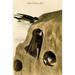 Buyenlarge Bank Swallow by John James Audubon - Unframed Graphic Art Print in White | 36 H x 24 W x 1.5 D in | Wayfair 0-587-64740-LC2436
