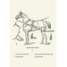 Buyenlarge 'Single Harness Horse' Graphic Art Paper in Gray | 36 H x 24 W x 1.5 D in | Wayfair 0-587-06566-4C2436