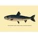Buyenlarge The Rangeley Trout by H.H. Leonard Painting Print in Gray | 24 H x 36 W x 1.5 D in | Wayfair 0-587-02299-xC2436