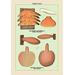 Buyenlarge 'Edible Fungi: Liver Fistulina' Graphic Art Paper in Green/Orange | 36 H x 24 W x 1.5 D in | Wayfair 0-587-04895-6C2436