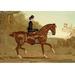 Buyenlarge Book of the Horse by Samuel Sidney Painting Print in Brown/Green | 24 H x 36 W x 1.5 D in | Wayfair 0-587-06558-3C2030