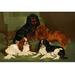 Buyenlarge Toy Spaniels by Vero Shaw - Graphic Art Print in Black/Brown/Green | 44 H x 66 W x 1.5 D in | Wayfair 0-587-29174-5C4466