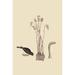 Buyenlarge Snow Bird by Catesby - Graphic Art Print in Black | 42 H x 28 W x 1.5 D in | Wayfair 0-587-30613-0C2842