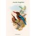 Buyenlarge 'Halcyon Gularis Manilla Kingfisher' by John Gould Graphic Art in Blue/Brown/Green | 42 H x 28 W x 1.5 D in | Wayfair 0-587-31814-7C2842