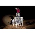 Buyenlarge 'Riding The Bulls' by Carol Highsmith Photographic Print in White | 24 H x 36 W x 1.5 D in | Wayfair 0-587-33148-8C2436