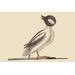 Buyenlarge Buffed Head Duck by Catesby - Graphic Art Print in Gray | 28 H x 42 W x 1.5 D in | Wayfair 0-587-30731-5C2842
