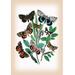 Buyenlarge Moths: Catephia Alchymista, Catocala Nupta, et AL. by W. F. Kirby Graphic Art in Brown/Gray/Green | 42 H x 28 W x 1.5 D in | Wayfair