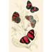 Buyenlarge 'European Butterflies & Moths' by James Duncan Painting Print in White | 36 H x 24 W x 1.5 D in | Wayfair 0-587-32298-5C2436