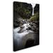 Trademark Fine Art Philippe Sainte-Laudy 'Double Falls' Photographic Print on Wrapped Canvas Metal | 32 H x 22 W x 2 D in | Wayfair PSL0680-C2232GG