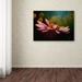 Trademark Fine Art 'The Secret World of Coneflowers' Lois Bryan Painting Print on Wrapped Canvas in White/Black | 35 H x 47 W x 2 D in | Wayfair