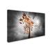 Trademark Fine Art 'Autumn Rain' by Philippe Sainte-Laudy Graphic Art on Wrapped Canvas in White | 30 H x 47 W x 2 D in | Wayfair PSL0898-C3047GG