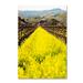 Trademark Fine Art 'In Full Bloom' Photographic Print on Wrapped Canvas Canvas | 19 H x 12 W x 2 D in | Wayfair ALI12626-C1219GG